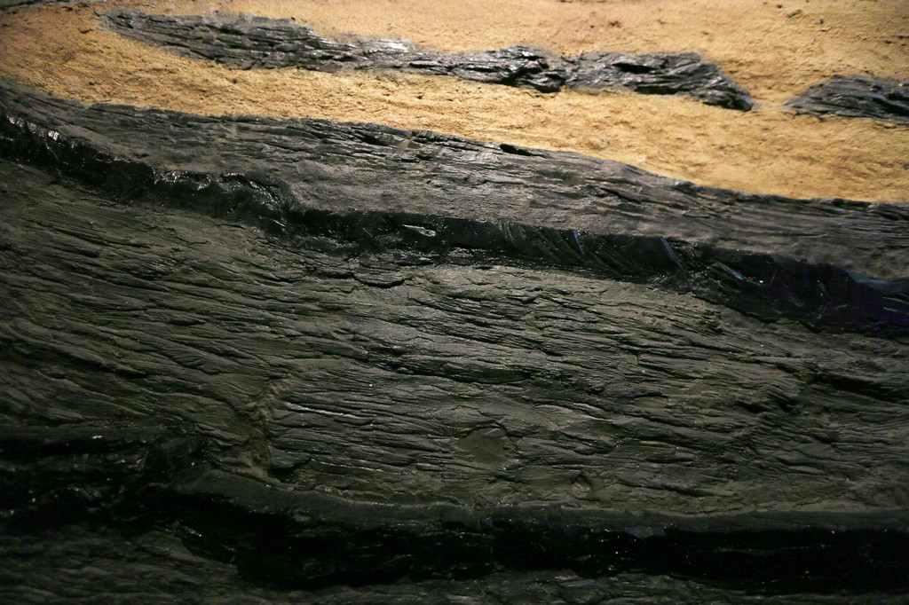 R-C (5)